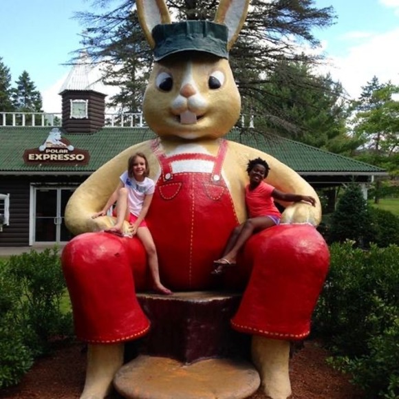 Meet your Posher, Cynthia - Picture 1 of 1